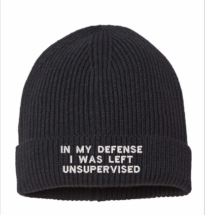 In my defense beanie Andy