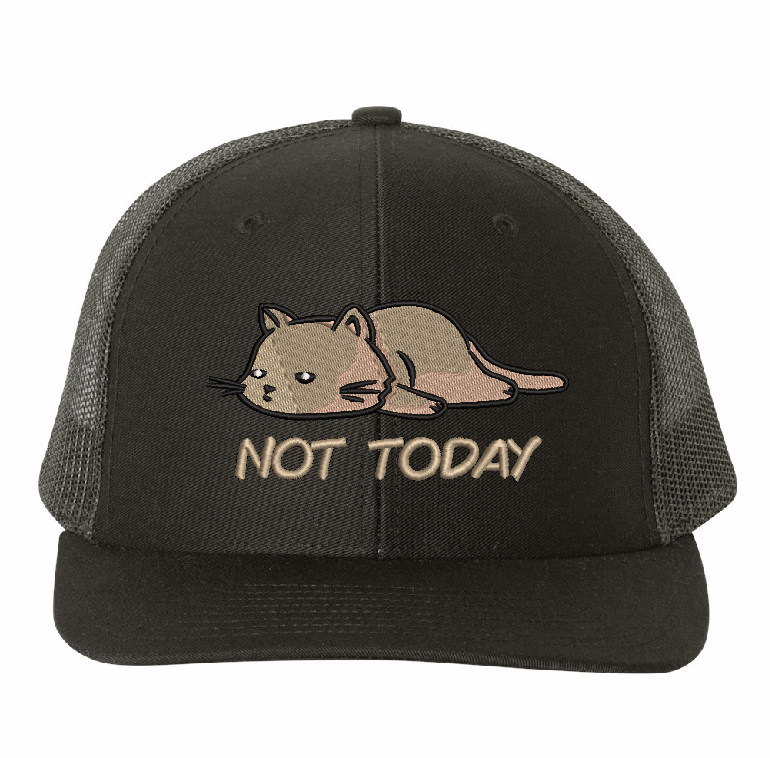 Not today cat