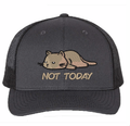 Not today cat
