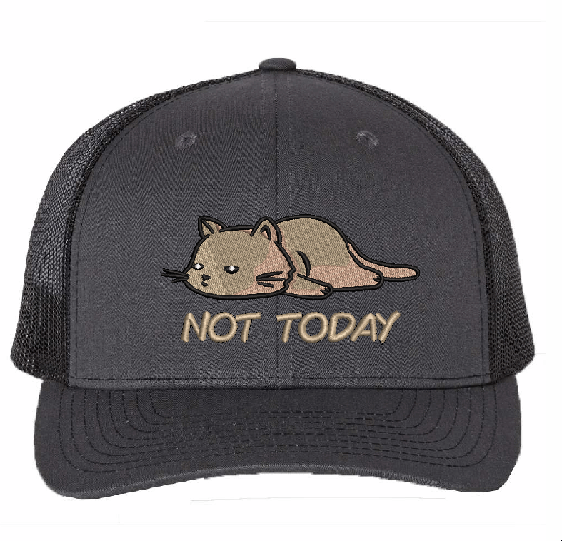 Not today cat