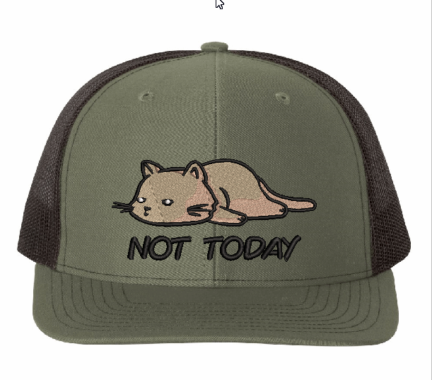 Not today cat