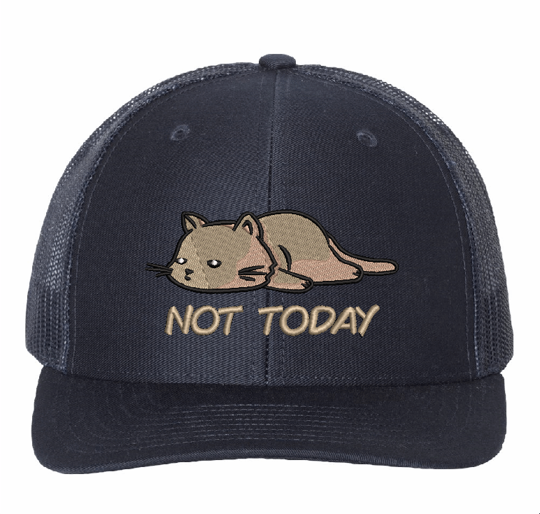 Not today cat